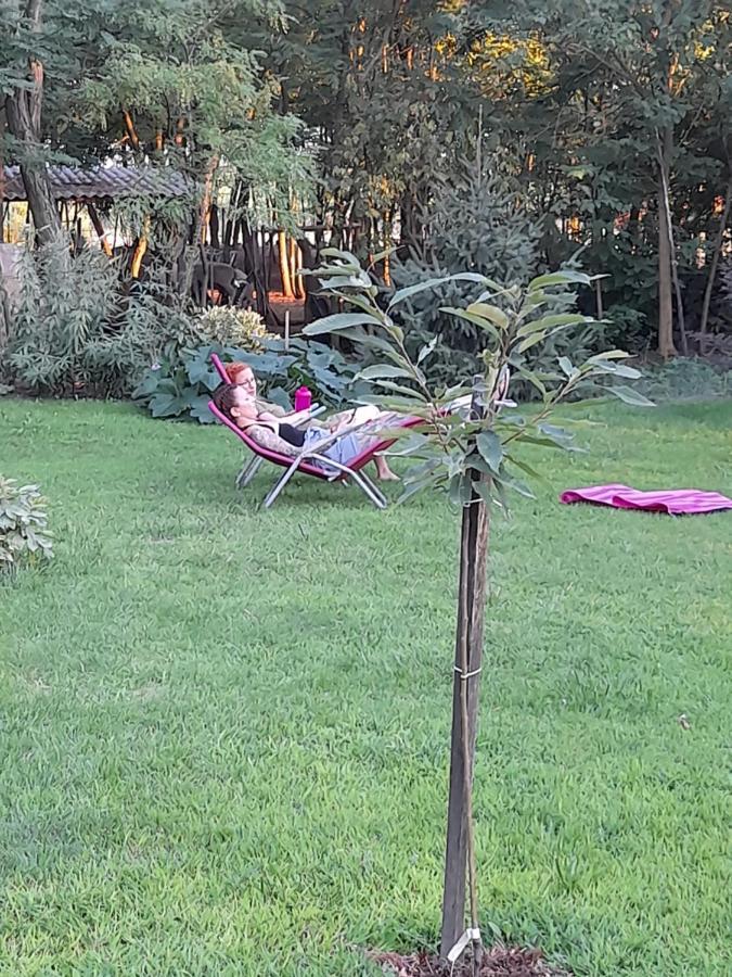 Guest House Vidravar Tabdi Екстериор снимка